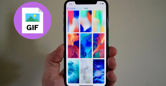 Hướng dẫn chuyển Live Photo thành ảnh động GIF trên iPhone đơn giản