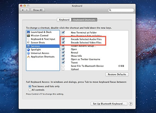 Chọn “Encode Selected Audio Files” và “Encode Selected Video Files”.
