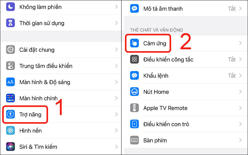 Chọn mục Cảm ứng