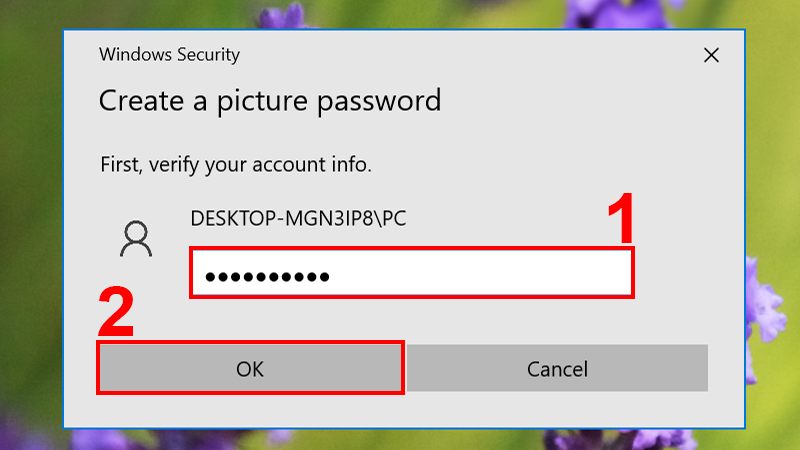 Nhập mật khẩu máy tính để tiếp tục