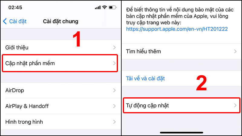 Chọn Cập nhật phần mềm v&agrave; nhấn v&agrave;o Tự động cập nhật