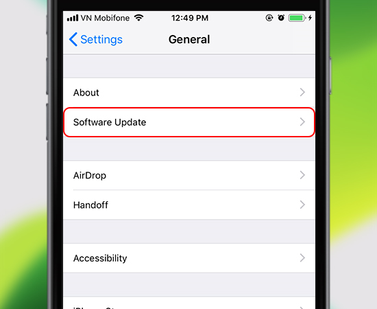2. Vào Software Update (Cập nhật phần mềm)