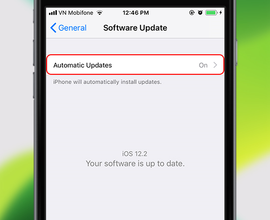 Automatic Updates (Tự động cập nhật)