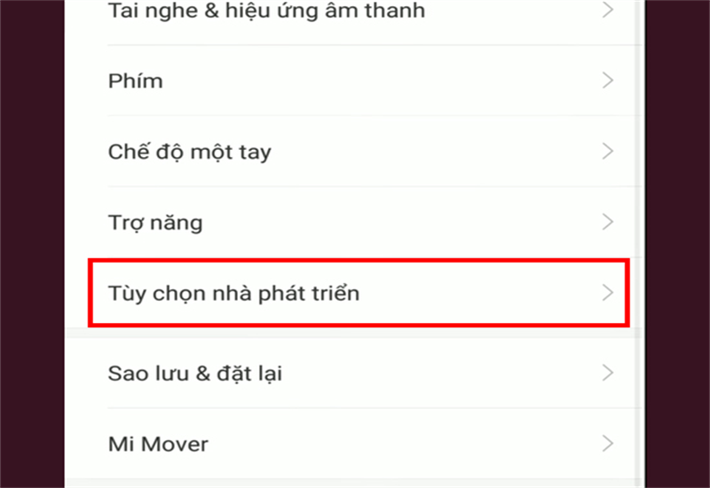 Bước 5: Nhấp vào Tùy chọn nhà phát triển.