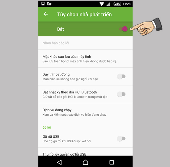 bật nhà phát triển