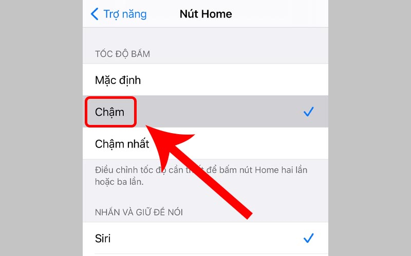 Tùy chọn tốc độ bấm