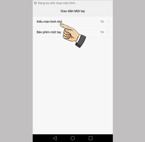 Kiểu m&agrave;n h&igrave;nh nhỏ