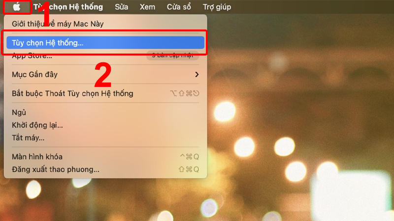 Vào Tùy chọn Hệ thống trên MacBook