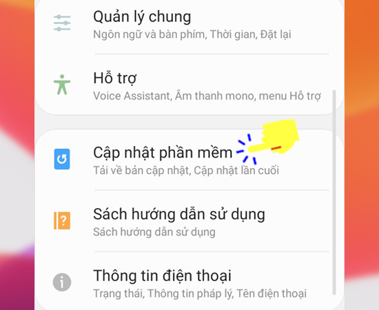 Bước 2: Tiếp bạn bạn hãy chọn Cập nhật phần mềm.
