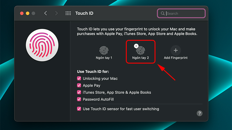 X&oacute;a v&acirc;n tay tr&ecirc;n MacBook