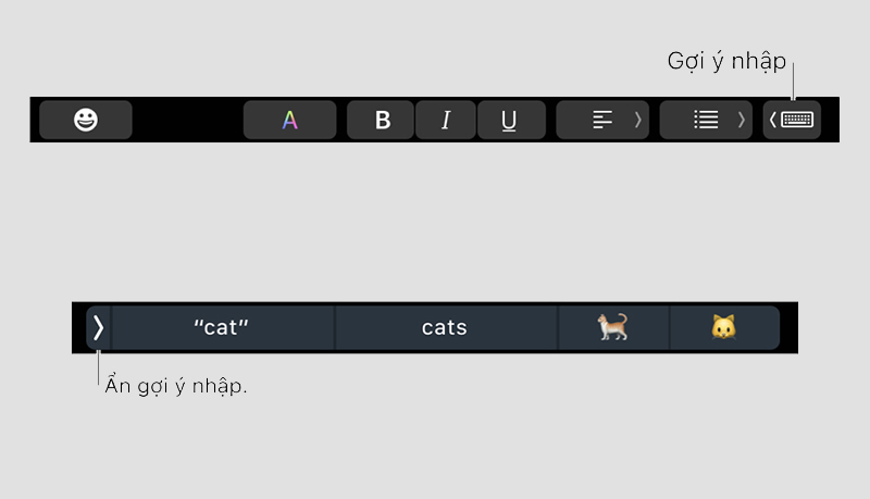 Gợi ý nhập và định dạng văn bản trên Touch Bar