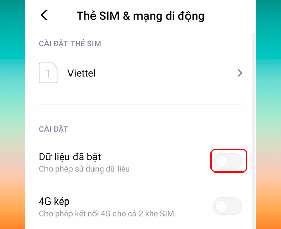 Bật Dữ liệu đ&atilde; bật
