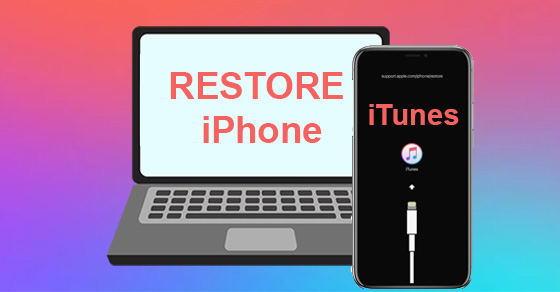 Cách reset iPhone bằng iTunes hay iCloud đơn giản nhất