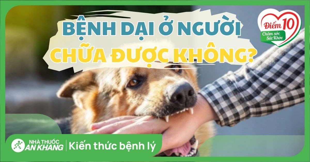 Bệnh dại ở người có chữa được không? Dấu hiệu bệnh dại