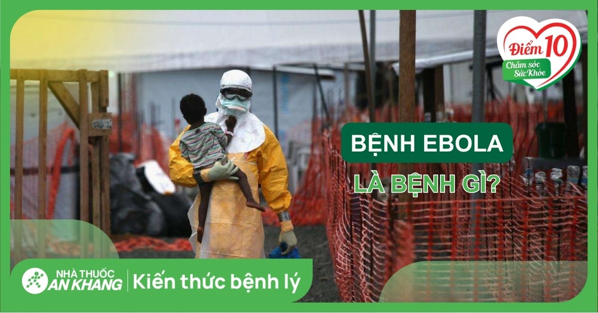 Ebola là bệnh gì? Triệu chứng và cách phòng ngừa hiệu quả