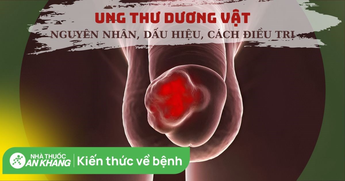 Ung thư dương vật: Nguyên nhân, dấu hiệu và cách điều trị