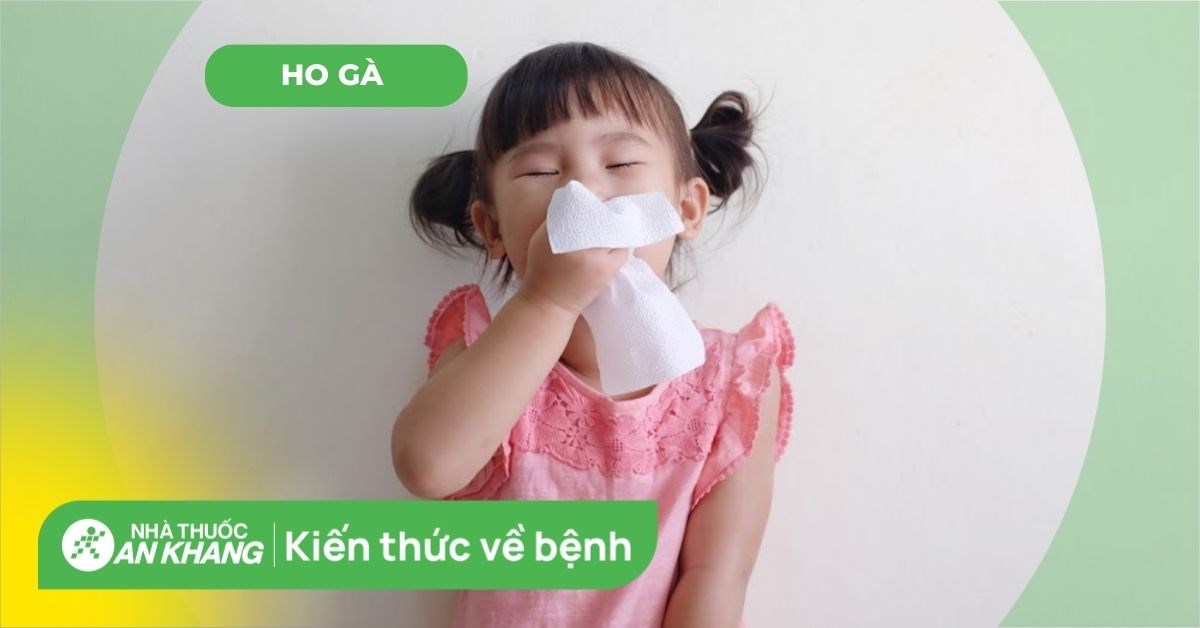 Bệnh ho gà: Nguyên nhân, triệu chứng và cách điều trị hiệu quả