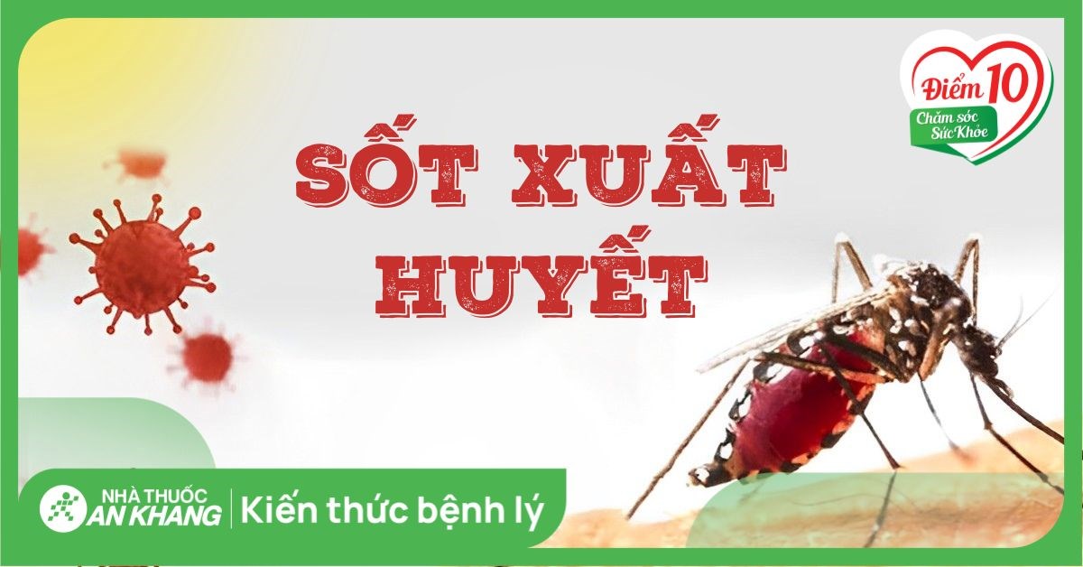 Sốt xuất huyết: Triệu chứng, biến chứng và cách điều trị