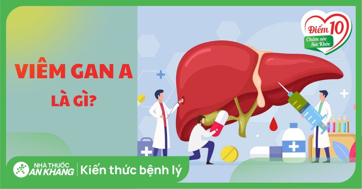 Viêm gan A: Con đường lây truyền, dấu hiệu và điều trị